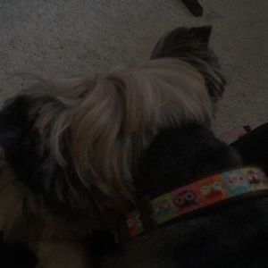 Meet your Posher, Marla